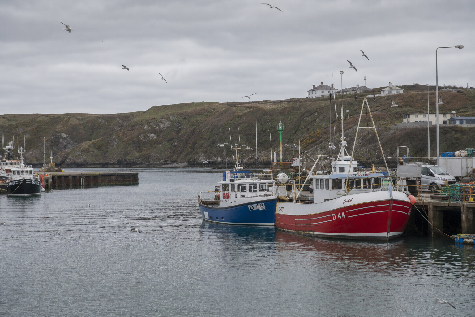 Howth harbour on an early summer evening — fishing boats moored alongside the West Pier, gulls on the water, the headland rising in the background under a softening sky